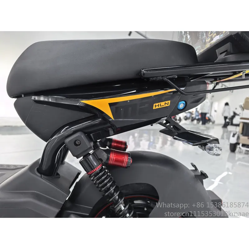 Electric Scooter Adults - Monopattino Elettrico 60V Bici da Città
