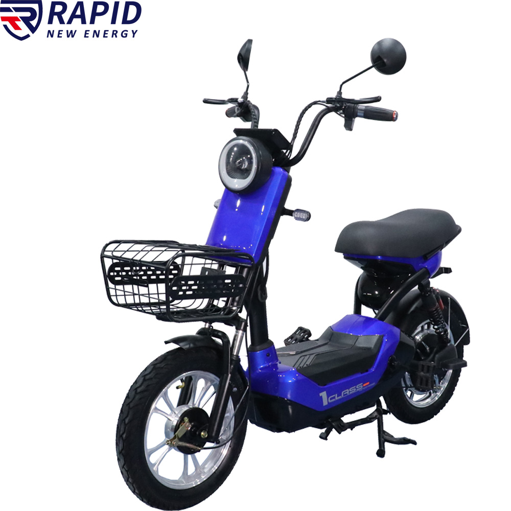 YTYIN Bicicletta Elettrica Eco - Electric Scooter 500W recensione e prezzo