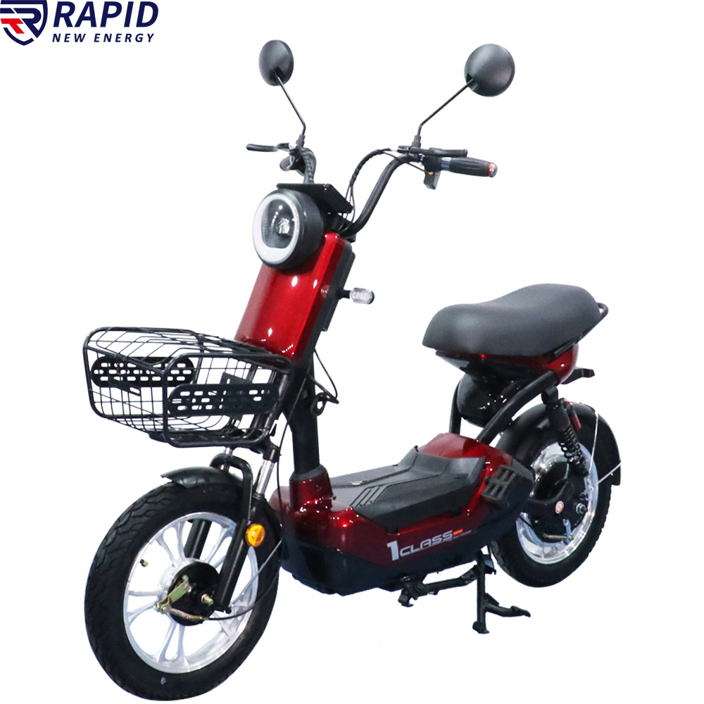 YTYIN Bicicletta Elettrica Eco - Electric Scooter 500W recensione e prezzo