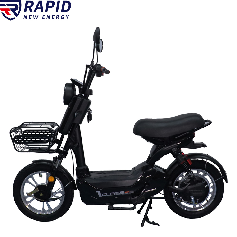 YTYIN Bicicletta Elettrica Eco - Electric Scooter 500W recensione e prezzo