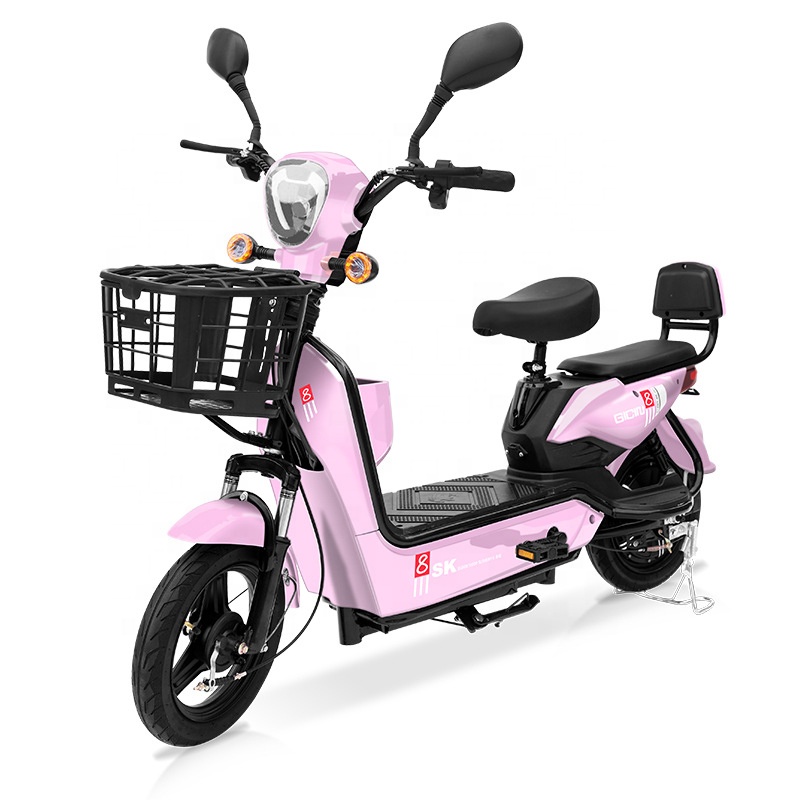 YTYIN Bicicletta Elettrica da  - Folding Electric Scooter recensione e prezzo