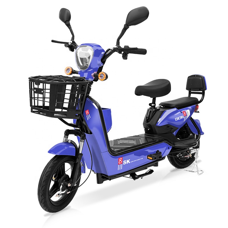 YTYIN Bicicletta Elettrica da  - Folding Electric Scooter recensione e prezzo
