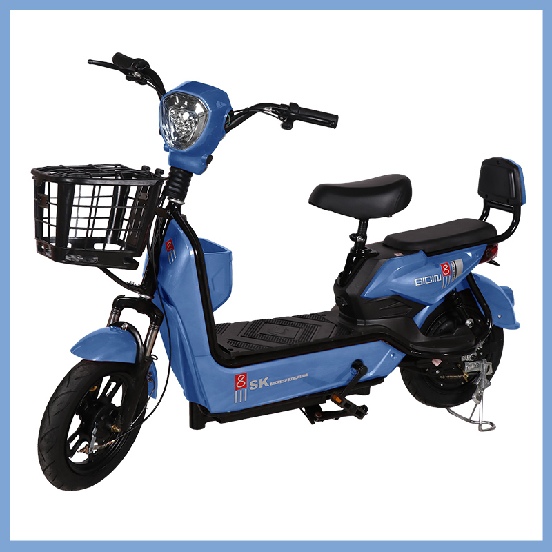 YTYIN Bicicletta Elettrica da  - Electric Scooter 500W recensione e prezzo