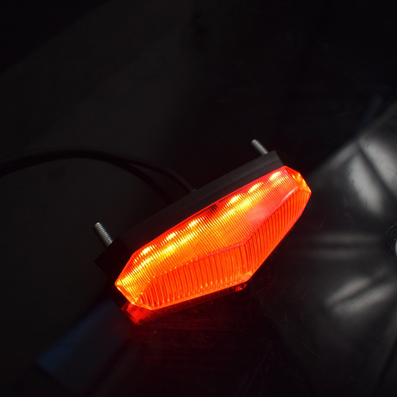 Nuove Luci Posteriori LED 12V- - Electric Scooter recensione e prezzo